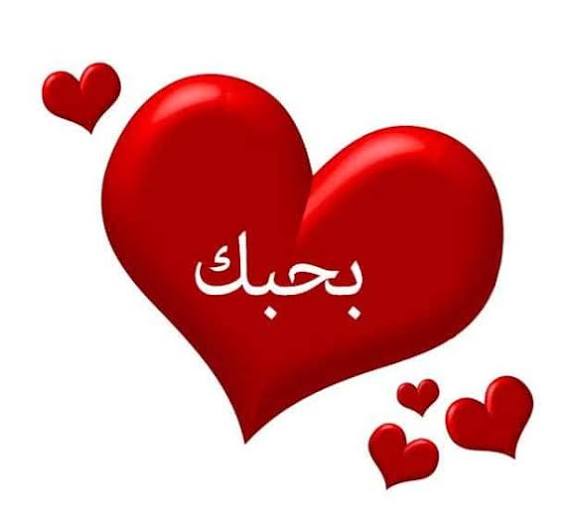 شات أميرة الإحساس – دردشة أميرة الإحساس | الدليل الشامل لعالم الدردشة الراقية